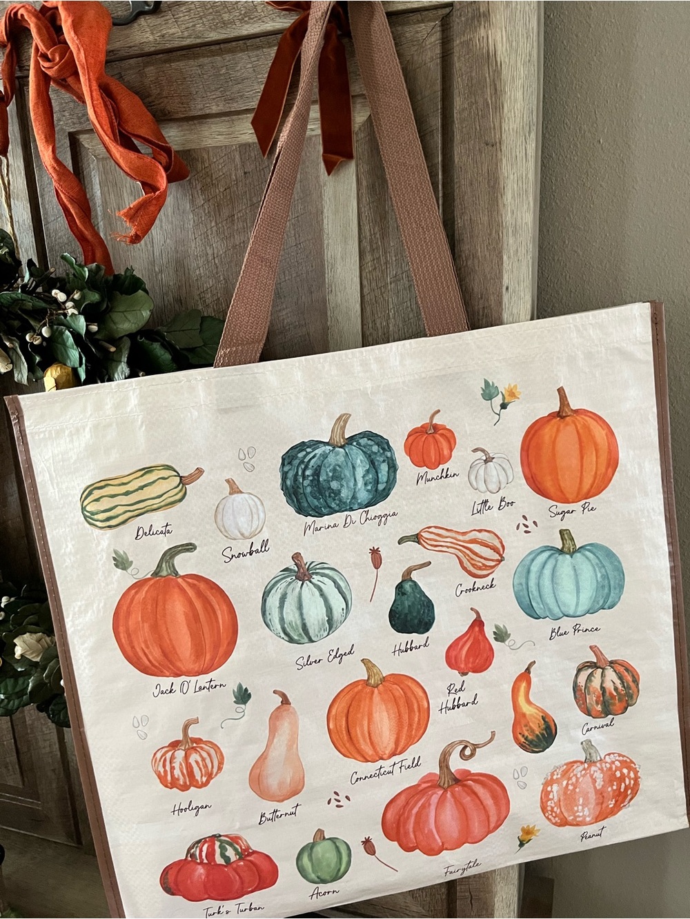 Marshalls Cream Tote Bag with Orange, Teal, Green and Brown Pumpkin Print